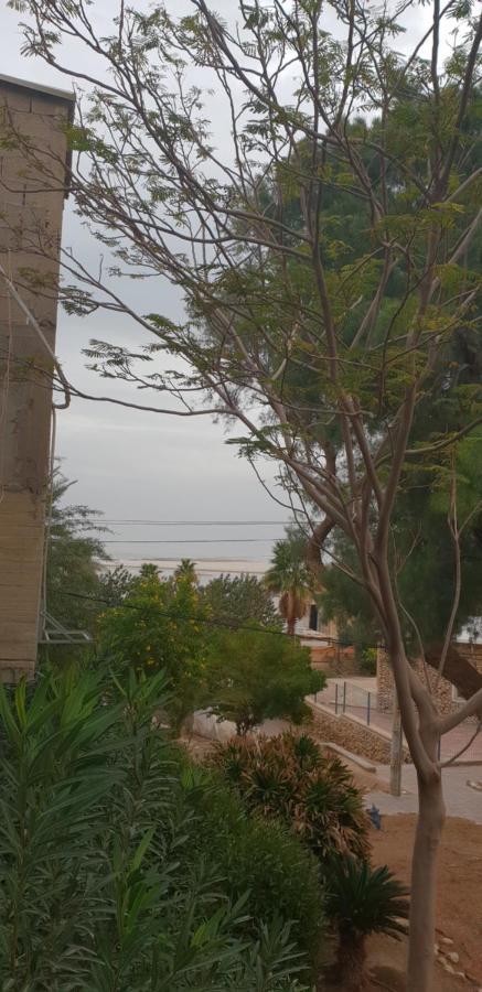 Naama Rooms For Rent Neve Zohar Exterior photo