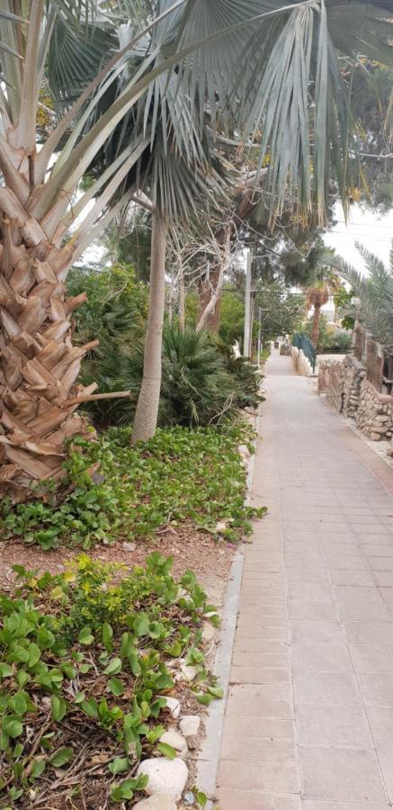 Naama Rooms For Rent Neve Zohar Exterior photo